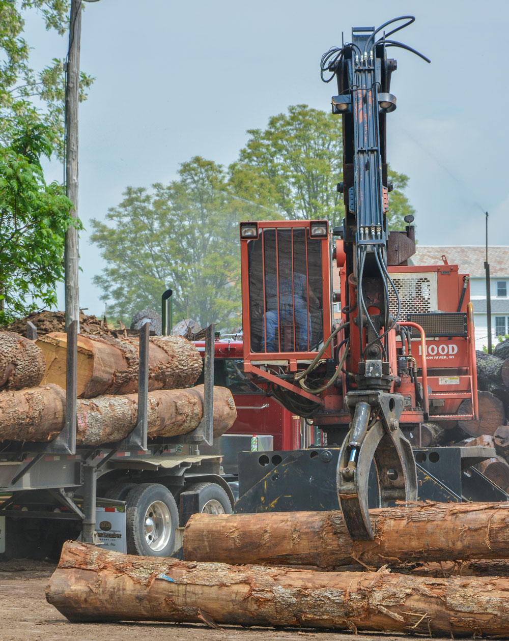 Experts in veneer logs